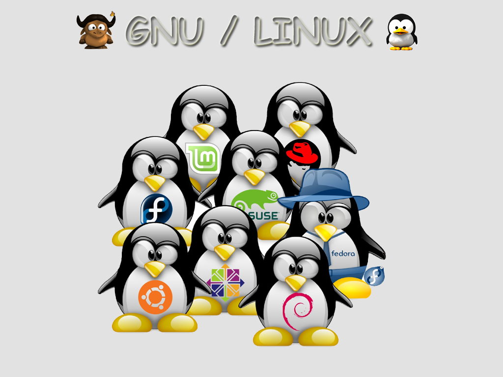 GNU/LINUX